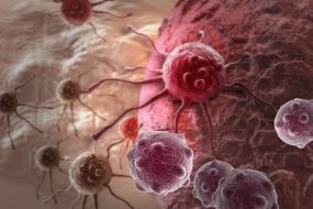 Исследователи рака уповают на иммунную систему