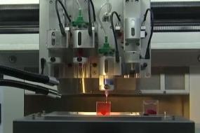 Мировой прорыв в медицине: израильские ученые напечатали сердце на 3D принтере